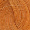 Coloration d'oxydation 8.43 Blond clair cuivré doré