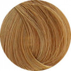 Coloration d'oxydation 8.13 Blond clair beige