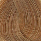 Coloration d'oxydation 8.03 Blond clair chaud