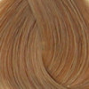 Coloration d'oxydation 8.03 Blond clair chaud