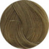Coloration d'oxydation 7.00 Blond intense
