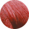 Coloration permanente 5.66 - Chatain clair rouge intense