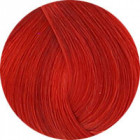Coloration d'oxydation R.66 Red Booster