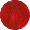Coloration d'oxydation R.66 Red Booster