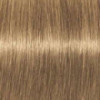 Coloration d'oxydation Igora Royal Absolutes 8-50 Blond clair doré naturel