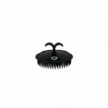 Brosse de massage en plastique Noire