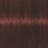 Coloration d'oxydation Igora Royal Absolutes 5-80 Chatain clair rouge naturel