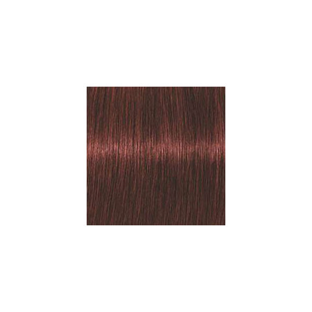Coloration d'oxydation Igora Royal Absolutes 6-80 Blond foncé rouge naturel