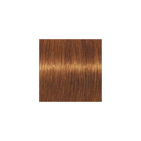 Coloration d'oxydation Igora Royal Absolutes 7-70 Blond cuivré naturel