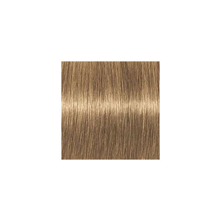 Coloration d'oxydation Igora Royal Absolutes 8-50 Blond clair doré naturel