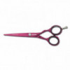 Ciseaux droits Pastell plus Offset Candy 5.5