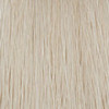 P3 Color 11.1S super blond platine cendre 60ml
