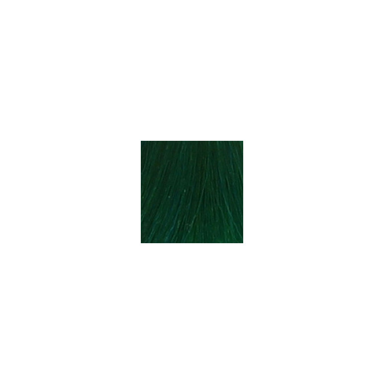 Coloration temporaire pine green n°46