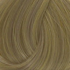 Coloration 10.21 Blond tres tres clair irisé cendré Coiffe