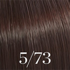 Color Touch Châtain Clair Marron Doré 5/73 60ml