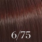 Color Touch Blond Foncé Marron Acajou 6/75 60ml