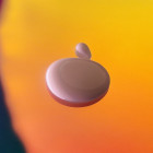 Masque réparateur sans rinçage BioTech Blowout?