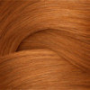 Coloration ton sur ton Shades EQ Bonder Inside 07CB Spicestone