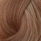Coloration permanente 8.13 Blond clair cendré doré Coiffeo