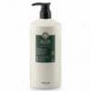 Shampooing micellaire détox Eco therapy revive