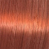 Coloration semi-permanente Shinefinity 05/43