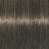 Coloration d'oxydation Igora Royal 6-1 Blond foncé cendré
