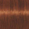 Coloration d'oxydation Igora Royal 6-77 Blond foncé cuivré extra