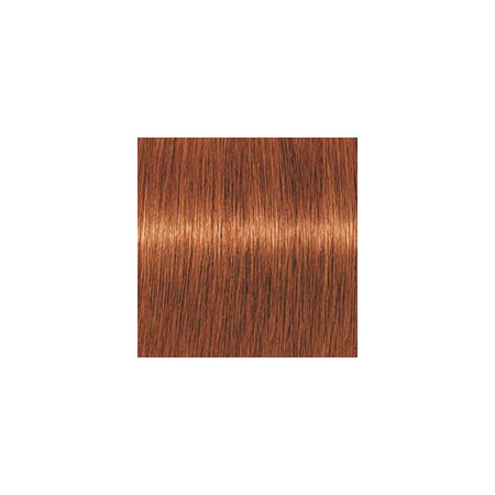 Coloration d'oxydation Igora Royal 7-77 Blond cuivré extra