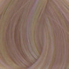 Coloration 10.22 Blond tres tres clair irisé intense Coiffeo