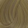 Coloration 10.21 Blond tres tres clair irisé cendré Coiffe