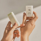 Stick Solaire Mat SPF 50+ Matte Sun Stick : Armoise + Camélia