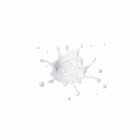 Base de teint The Face Glue Primer