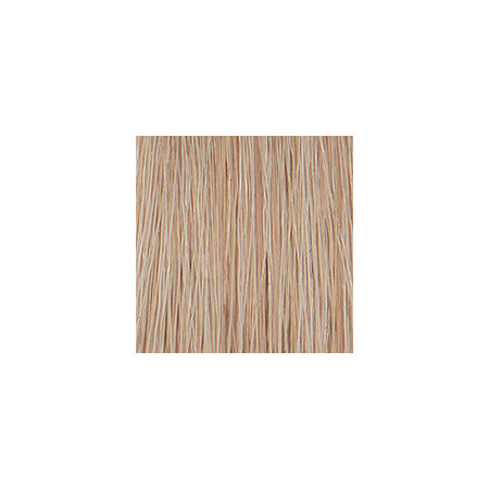 Coloration permanente crème hybride Color. Blond platine cendré