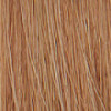 Coloration permanente crème hybride Color. Blond clair cendré doré